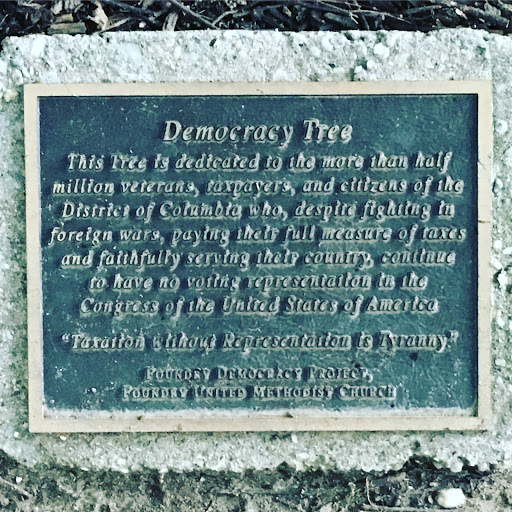 At the base of a strudy trunk on Washington, DC's tree-lined New Hampshire Ave, a small plaque sits unobtrusively among scrub and mulch. The plaque is small, you'd miss it if you weren't looking....