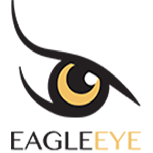 Download EagleEye VPN For PC Windows and Mac