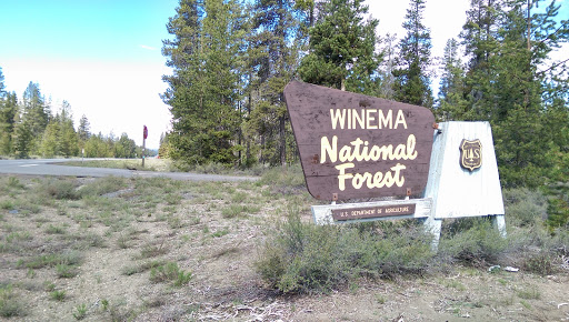 Winema National Forest