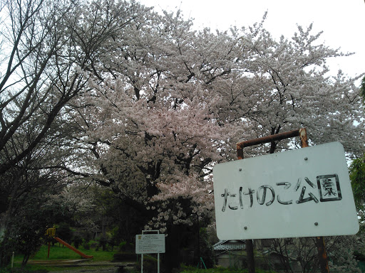 たけのこ公園