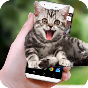 Download Funny Cat Walks On Screen For PC Windows and Mac