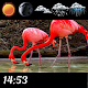 Download Flamingo Clock And Weather For PC Windows and Mac 1.0