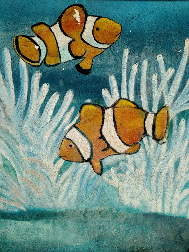 Aquarium Fishy