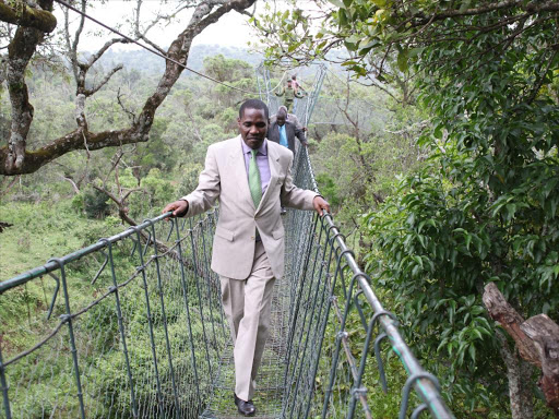 NOT AGAINST DEVELOPMENT: Former CS Peter Munya walks on the canopy walkway at Ngare Ndare Forest on January 21. He said he cannot prevent construction of roads.