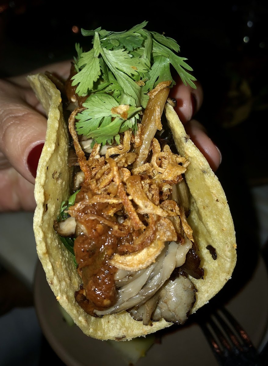 Mushroom tacos. Taste better than it looks in the pic.