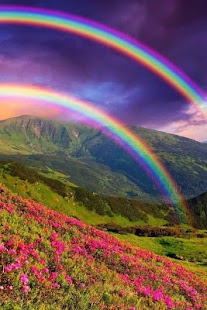 How to get Rainbow Live Wallpaper 1.1 mod apk for pc