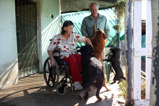 Miekie and Errol Petzer play with Caesar, Lady and Blackie at their Christmas Rock small holding. Their Siberian Husky cross dog Misty was found hanging on the fence post with its throat and stomach slit open last Friday. Picture: ALAN EASON