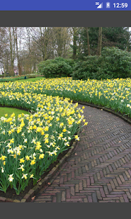 How to mod PopViewer 1.1 apk for pc