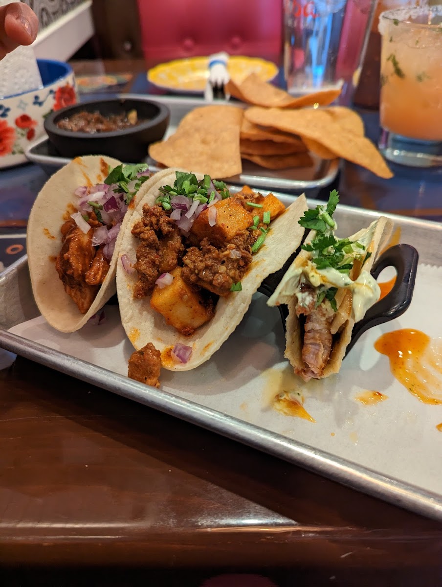 Gluten-Free Tacos at Lime & Salt Taco Bar