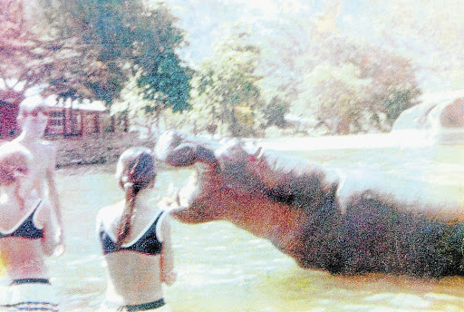 CHOMP: Boris the Hippo flashes his teeth at the author, his sister and a friend at Monkey Bay in 1968