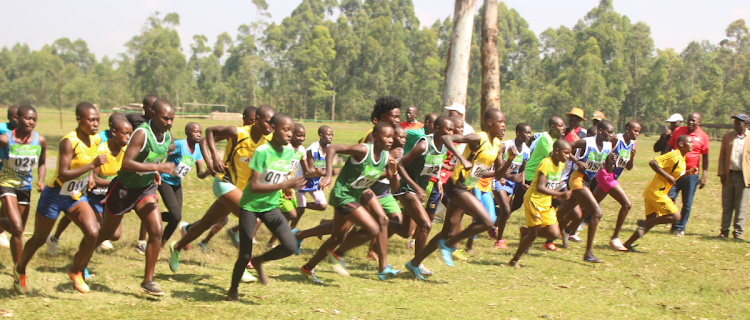 Junior women runners take off