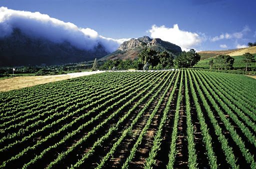 Western Cape premier Alan Winde wants lockdown regulations amended to allow the sale of wine at wine farms at weekends. File photo.