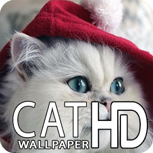 Download Cat Wallpaper HD For PC Windows and Mac