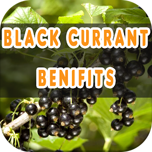 Download Black Currant Benefits For PC Windows and Mac