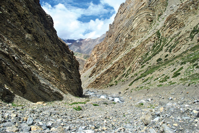 A mysterious Himalayan pasture that kills only sheep