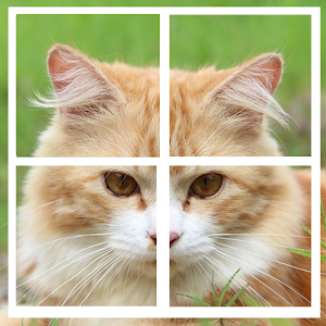 Cat Tile Puzzle.apk 1.0