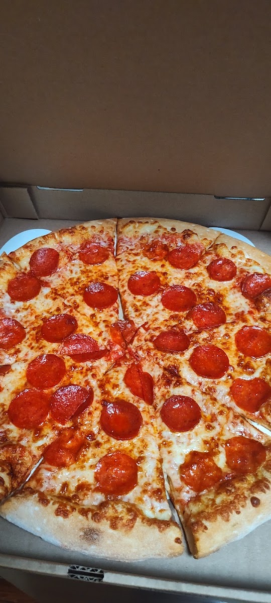 Regular pepperoni pizza