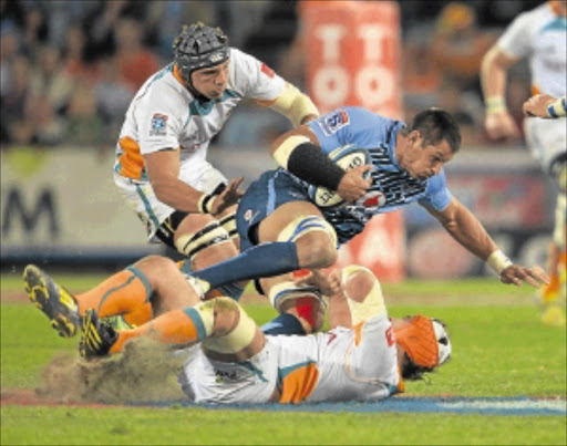 HUNTED DOWN: Bulls skipper Pierre Spies is brought to ground by Cheetahs No6 Heinrich Brussow during their Super Rugby match in Bloemfontein on Saturday. The Cheetahs lost the match 30-25. Photo: Gallo Images