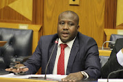 Bongani Bongo in Parliament on December 7 2017 in Cape Town, South Africa. 