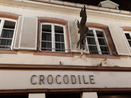 Crocodile Perché