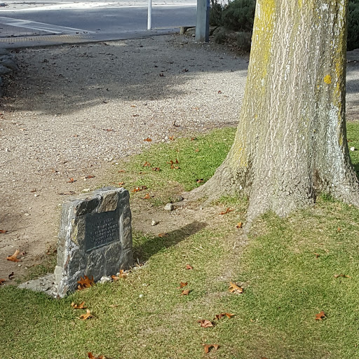 Plunket Commemorative Plaque and Tree