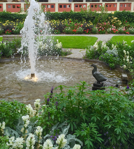 Bird Fountain 
