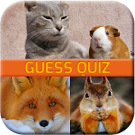 Animal Quiz Game Apk
