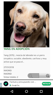 Adopta Mascota Screenshot