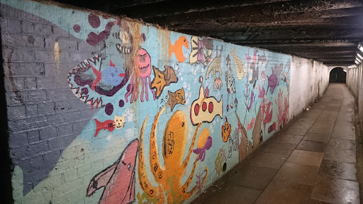 Tunnel Graffiti