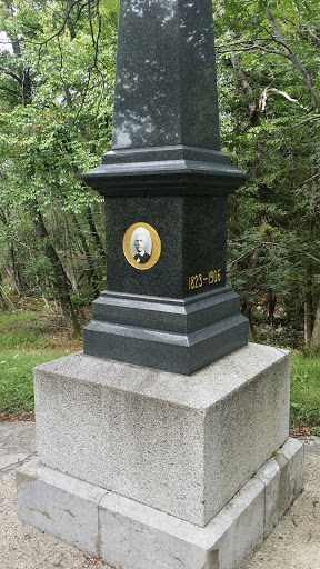 Arnold Rikli Monument on Straza