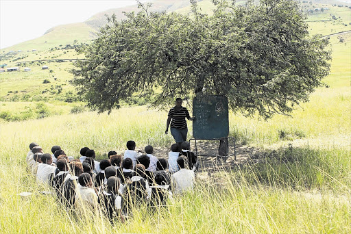 FIELD OF DREAMS: Pupils at Mwezeni Primary School in a Elliotdale, outside Mthatha in the Eastern Cape, learning under a tree this week