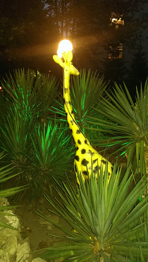 Затаившийся Жираф
