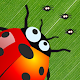 Download Ladybug Invasion  1.0.2