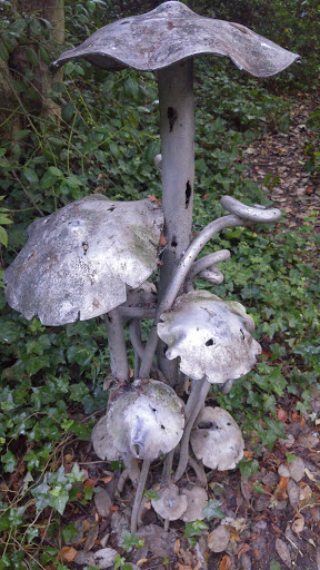Metal Mushrooms
