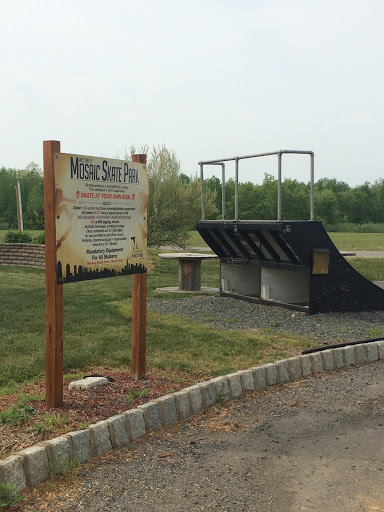 Mosaic Skate Park