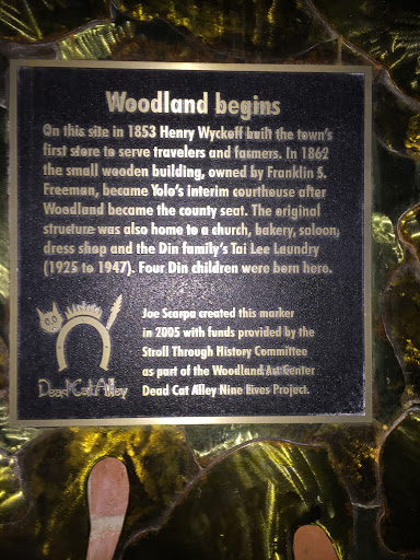Woodland begins On this site in 1853 Henry Wyckoff built the town's first store to serve travelers and farmers. In 1862 the small wooden building, owned by Franklin S. Freeman, became Yolo's...