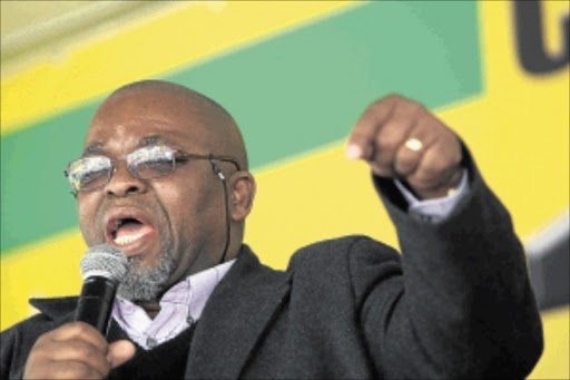 ONE FOR ALL: ANC's Gwede Mantashe addresses the public at the South Gauteng High Court in Johannesburg during the protest against the artwork The Spear. PHOTO: ANTONIO MUCHAVE