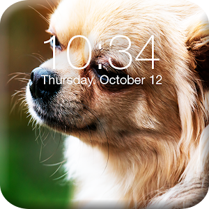 Download Chihuahua Dog Screen Lock For PC Windows and Mac