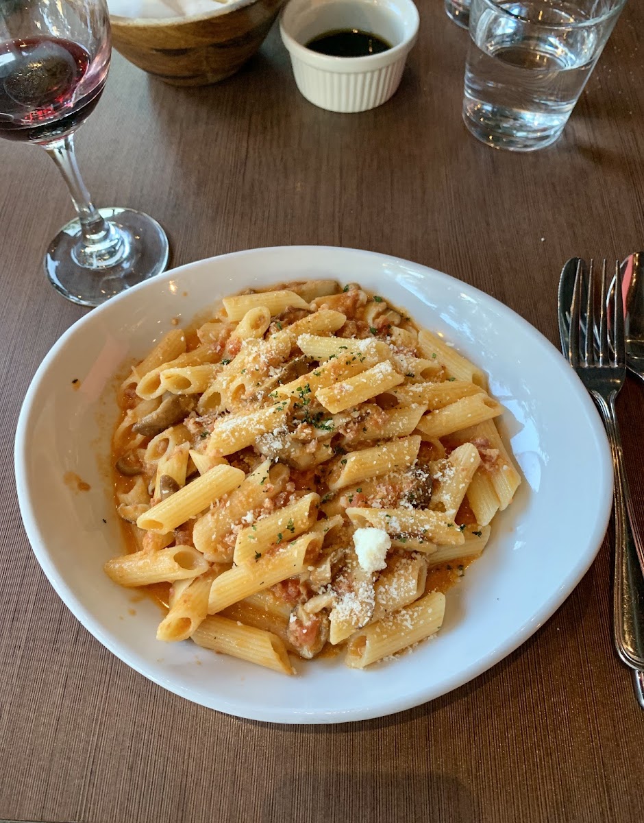 Gluten-free penne with Bencotto sauce.