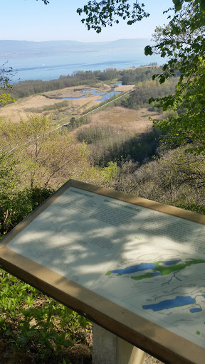 Point de Vue Grande Cariçaie