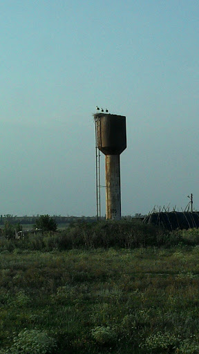 Водонапорная Башня С Аистами
