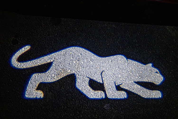 Puma cat projection is a cute touch.