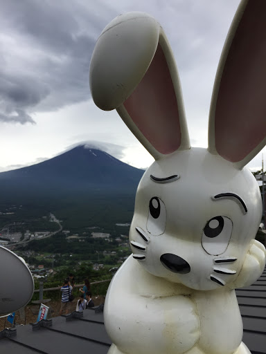 Rabbit Thinking Of Mt Fuji