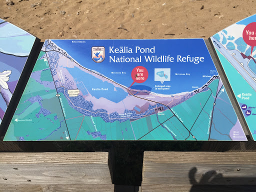 Kealia Pond Wildlife Refuge