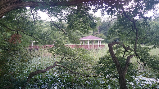 小幡緑地東園林の池