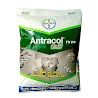 THUỐC TRỪ NẤM BỆNH CÂY TRỒNG ANTRACOL - 100 GRAM - DIÊT MẦM NẤM BỆNH NHƯ THÁN THƯ, ĐỐM LÁ, BỆNH Ở RỄ