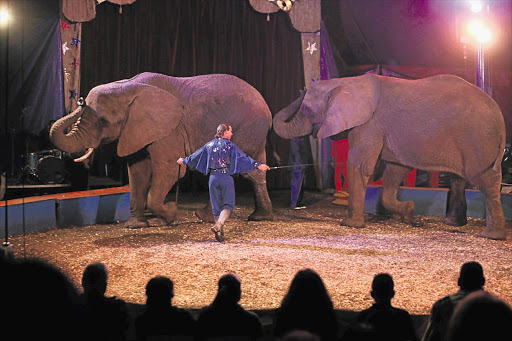 Brian Boswell's Circus has denied any form of cruelty to its animals