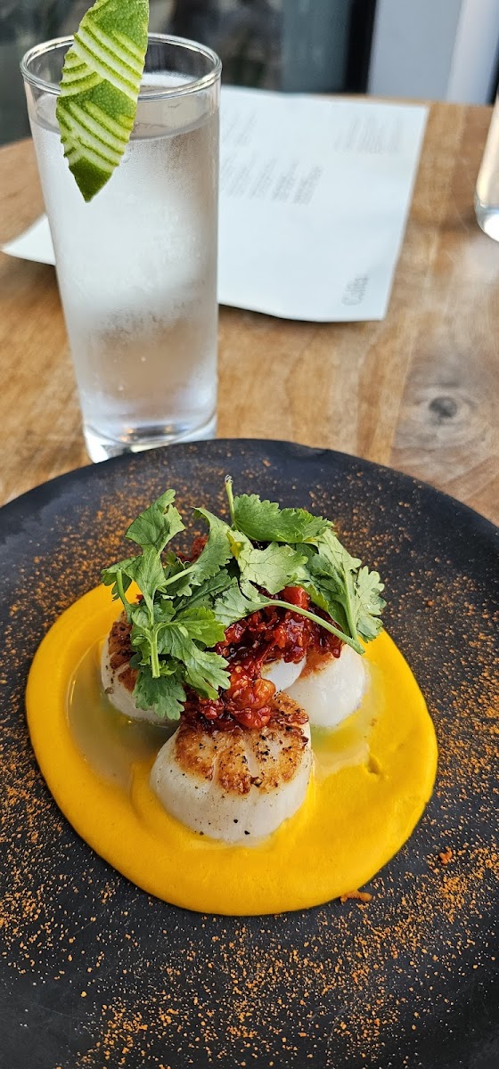 Seared scallops