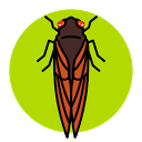 Cicada Safari 1.3.0-alpha APK Download