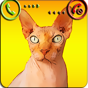 Download Fake Call Cat Prank For PC Windows and Mac